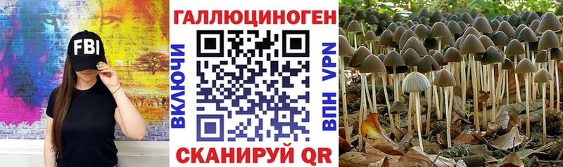 Галлюциногенные грибы Psilocybine cubensis  закладка  Углегорск 