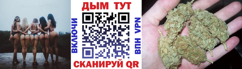 наркотики  Углегорск  блэк спрут   Конопля VHQ 